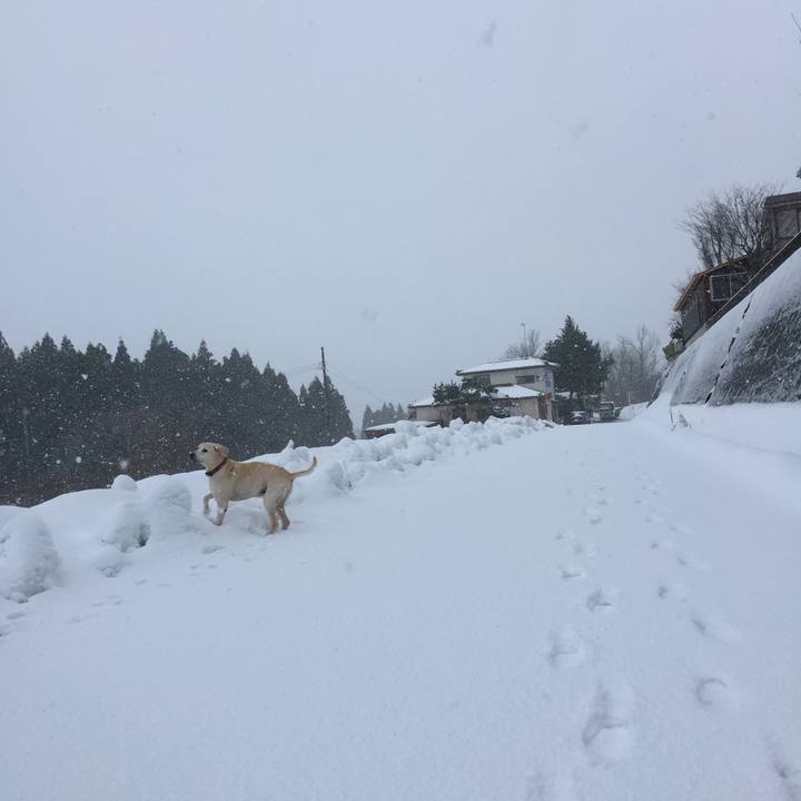 C9ad980c 2512 4f35 be49 0c62421ad1cb 1514942137739