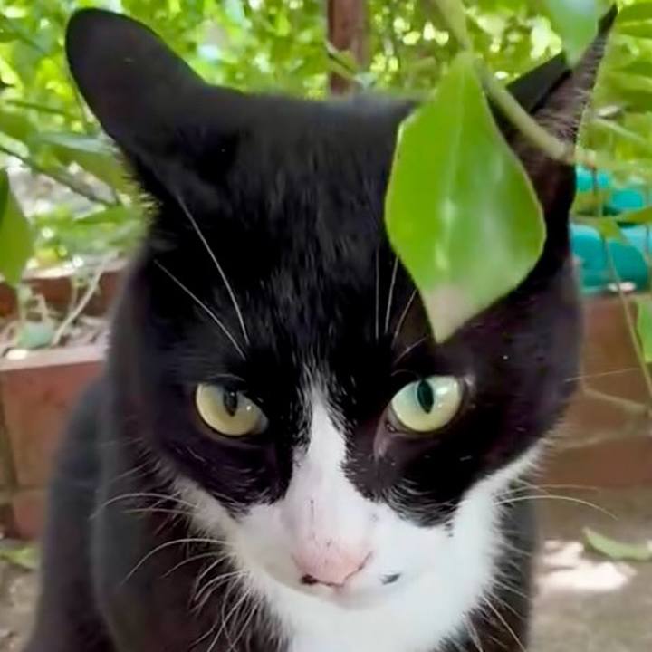 C9aded7b 6c17 4d44 94fc 80bdc812b552 1750127282959