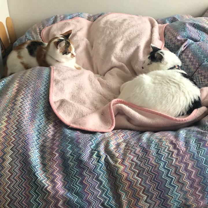 C9adedb1 aa4e 4dc1 806f 5387203a483e 1572673986520