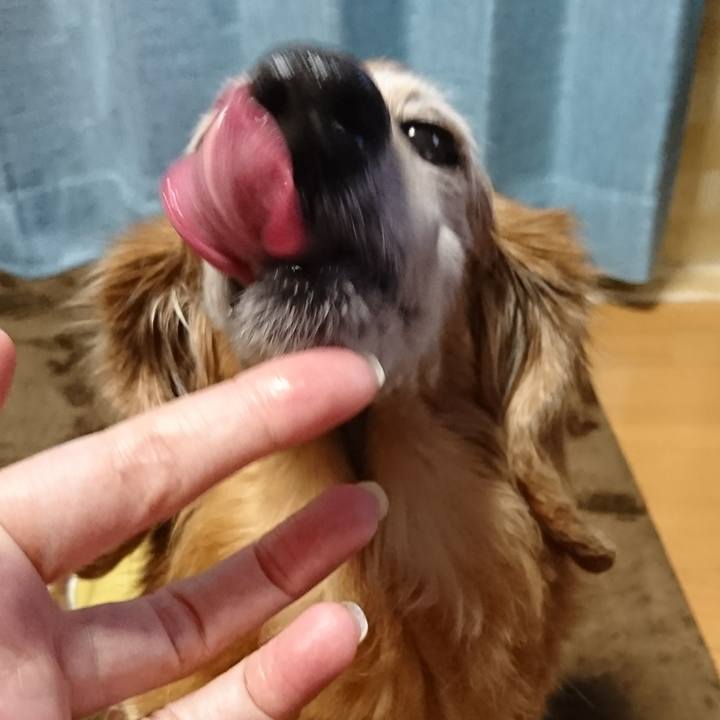 C9ae4fc9 868e 4dbd b0d4 c00a6bd8a421 1515747875680