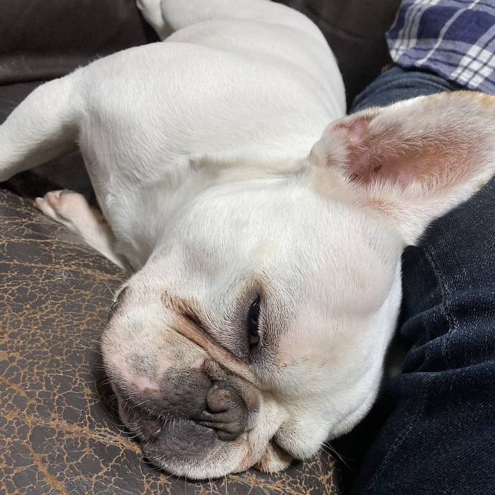 C9ae52d2 a8bc 479a 8e9e 53c54376eedf 1686540322026