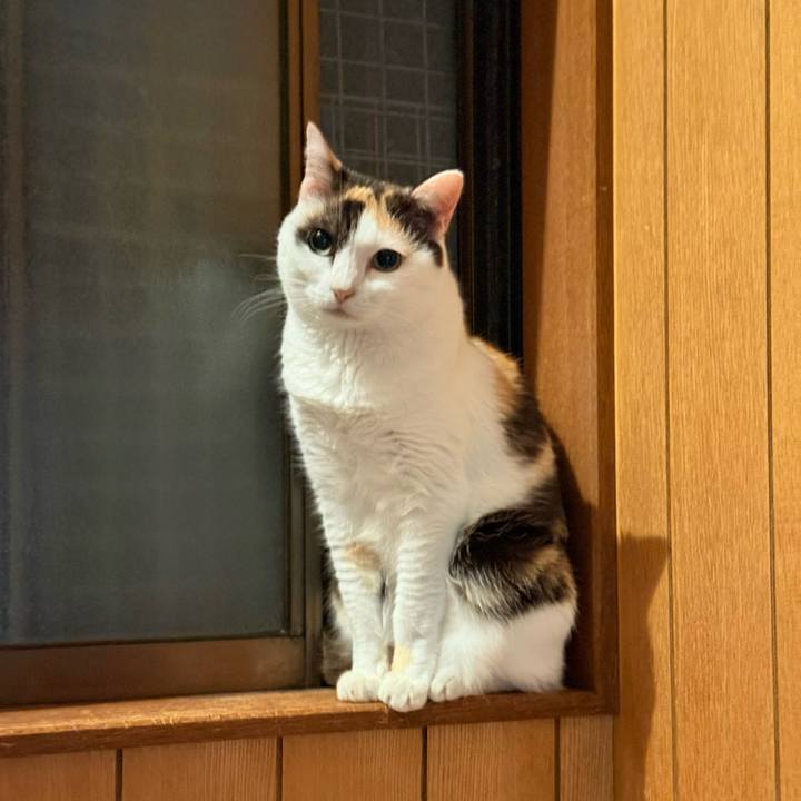 C9ae684a ecff 4a66 a3aa af49b6d09339 1753581068267