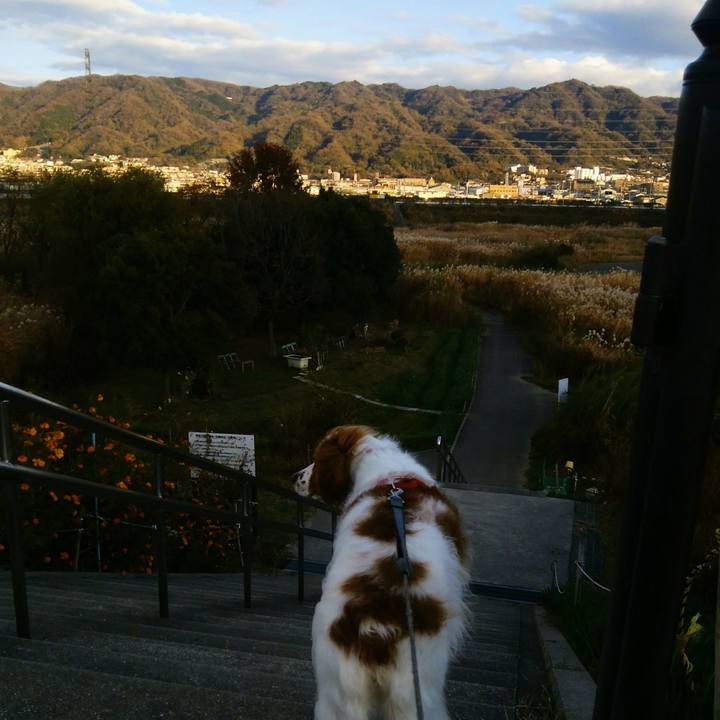 C9ae6ad2 d63f 4fbc 800a 3cd249ed744c 1544863299339