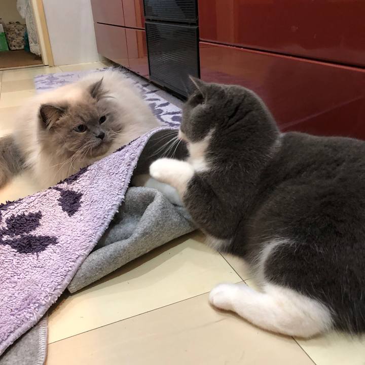 C9aea5c8 5df7 418f 8333 69480440ecba 1551656812916