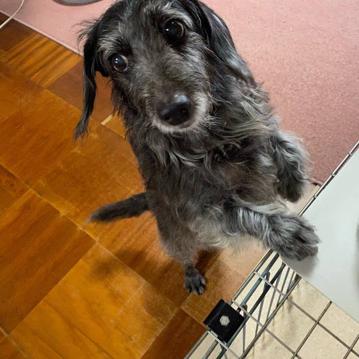 C9aea811 0d12 4126 a2b0 83482c0b3efe 1666307820314