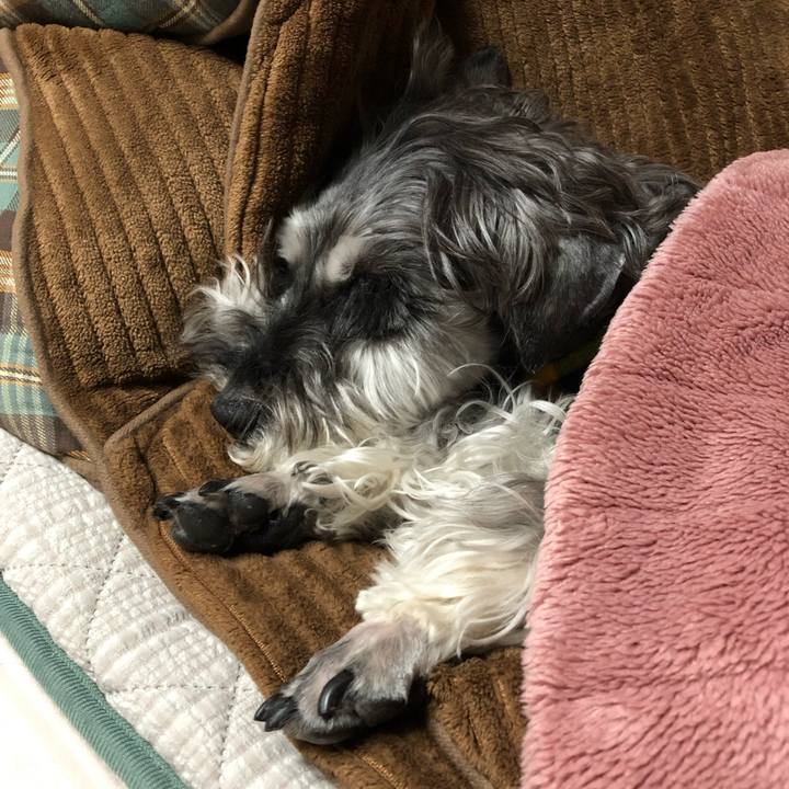 C9aeb806 91cb 4cb5 8d3b 854fddd0a0eb 1745330203842