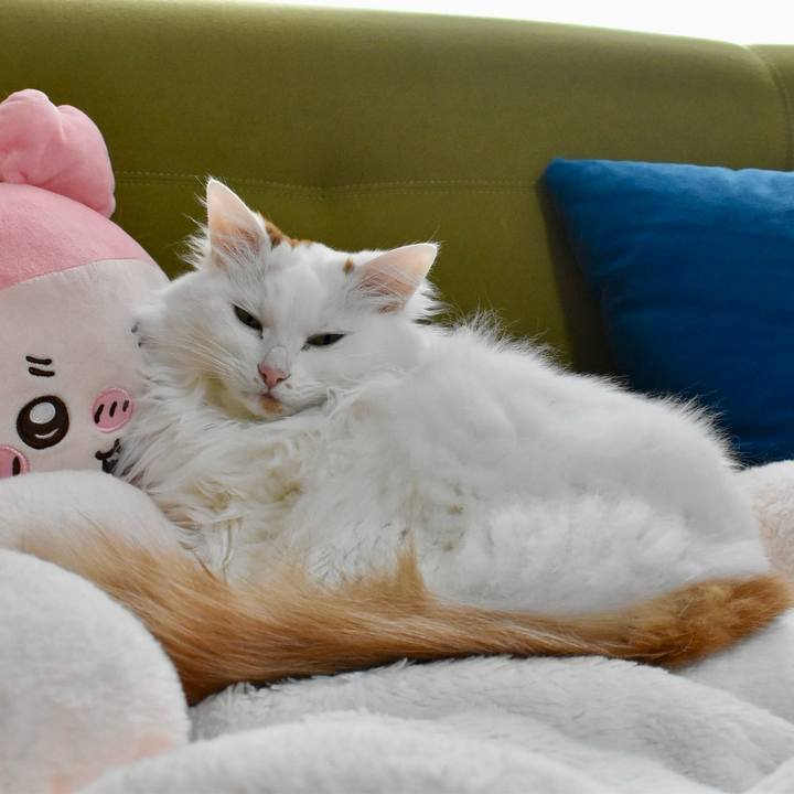 C9aebcb5 46db 42d3 8acd 916d2ce517e9 1773984617960