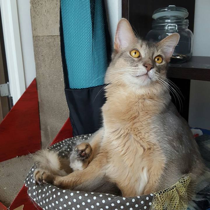 C9aefd98 5247 4e17 94b0 c1e946f129ea 1564890589565