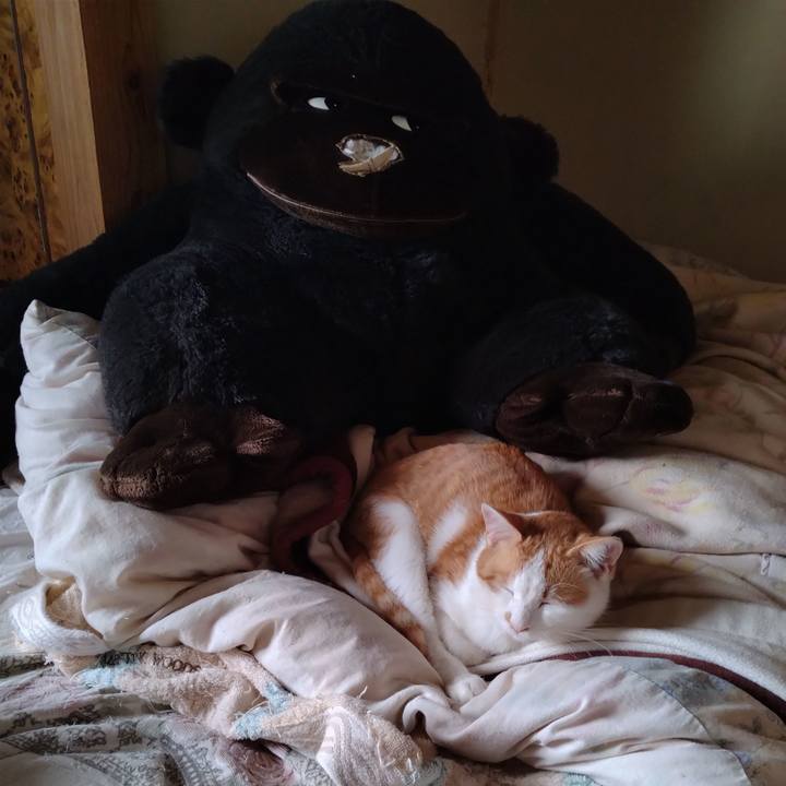 C9aefefd 082a 4c28 858f bb1216105122 1745822724018