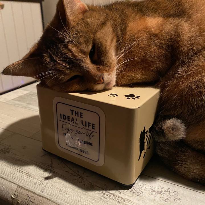 C9af063e 6c6a 45df b248 97d5e8b15816 1595085899025