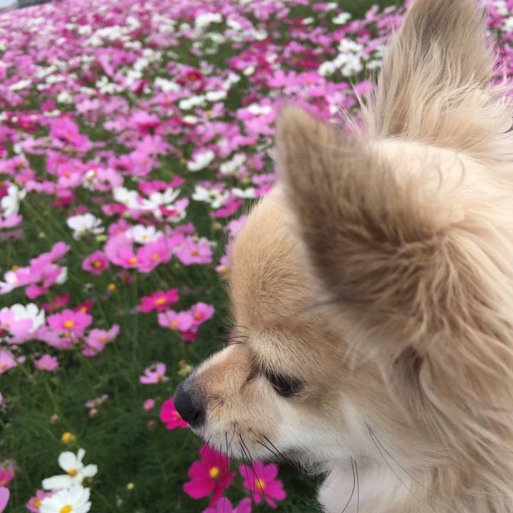 C9af0b74 a3c6 4ecb 9ea1 11977d538c7d 1540696973253