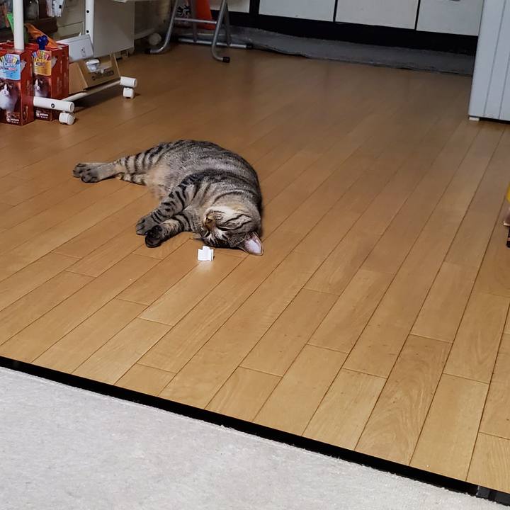 C9af58eb 4cb3 4d50 bcf6 e13687725028 1694263663662