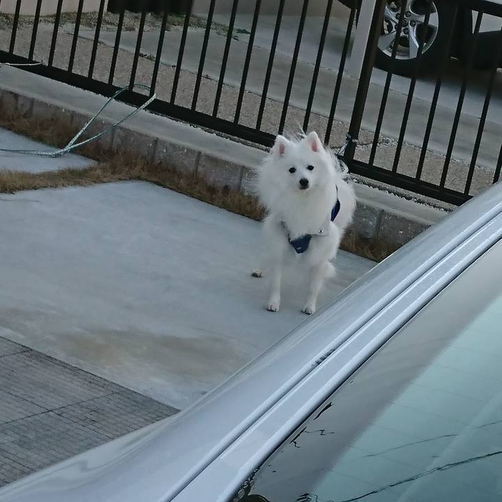 C9af5bf1 7104 44d1 9fe3 1ca964cca17f 1580628379372