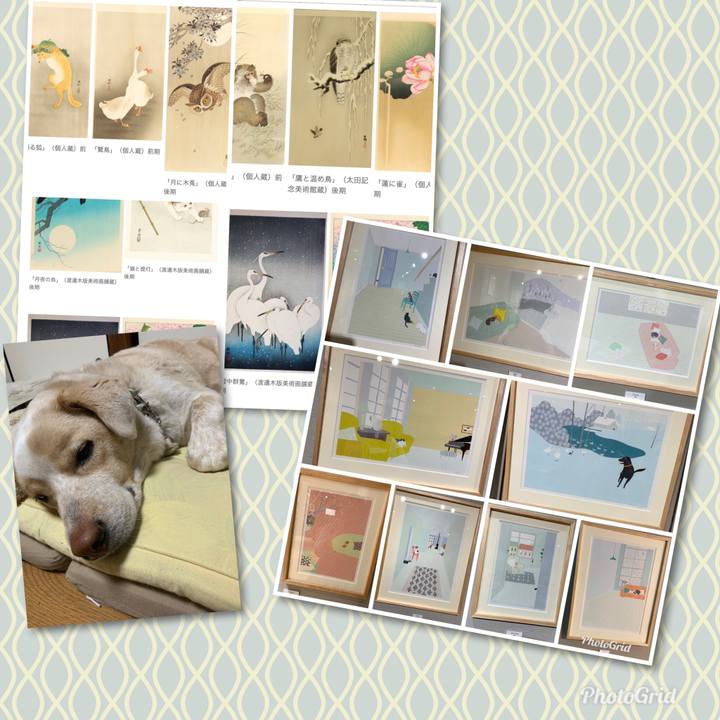 C9af7d9d 512a 4b79 8a51 11e372f08078 1549847387897