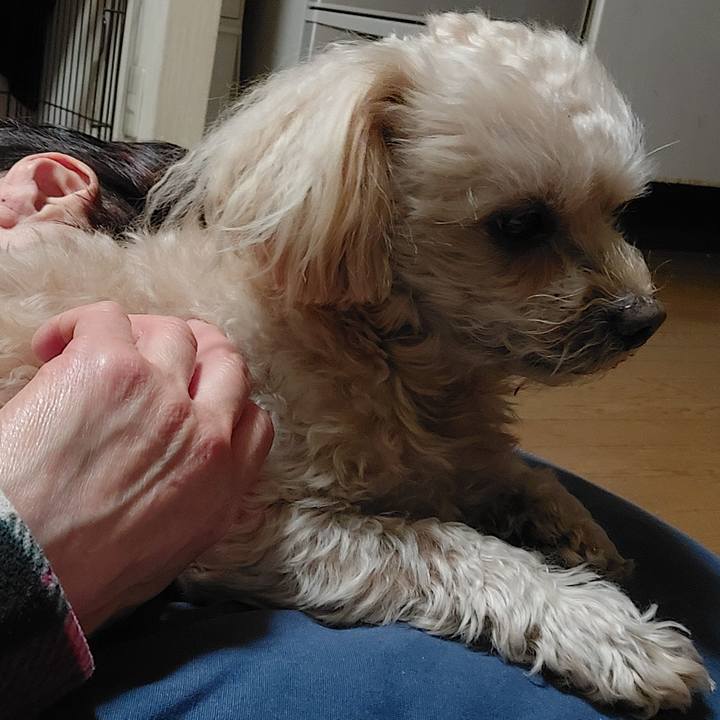 C9afae07 d304 4d7b 999b 493604298658 1735556427749