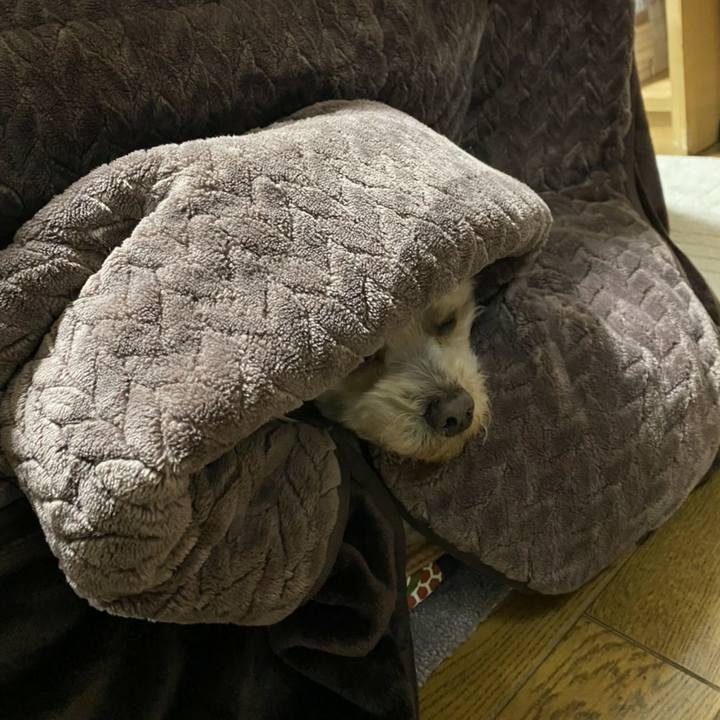 C9afc3b2 e901 48b8 9507 808443184a16 1612178929106