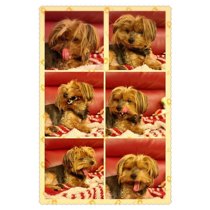 C9affd38 381d 4112 9ab2 62f628ddfd3d 1574663066856