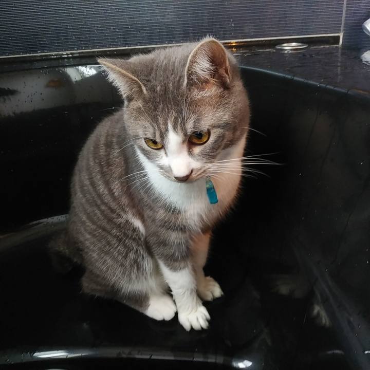 C9b01ab1 b2c4 4a4b 978c 1f4ed85f5a9b 1580176147158