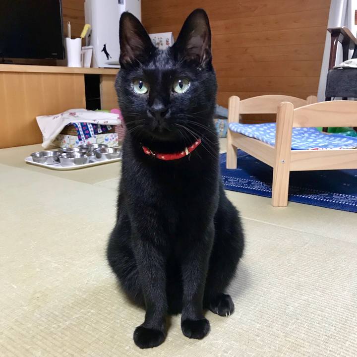 C9b038a7 0c9a 4f3b 8228 664c0a69bdba 1530772784671