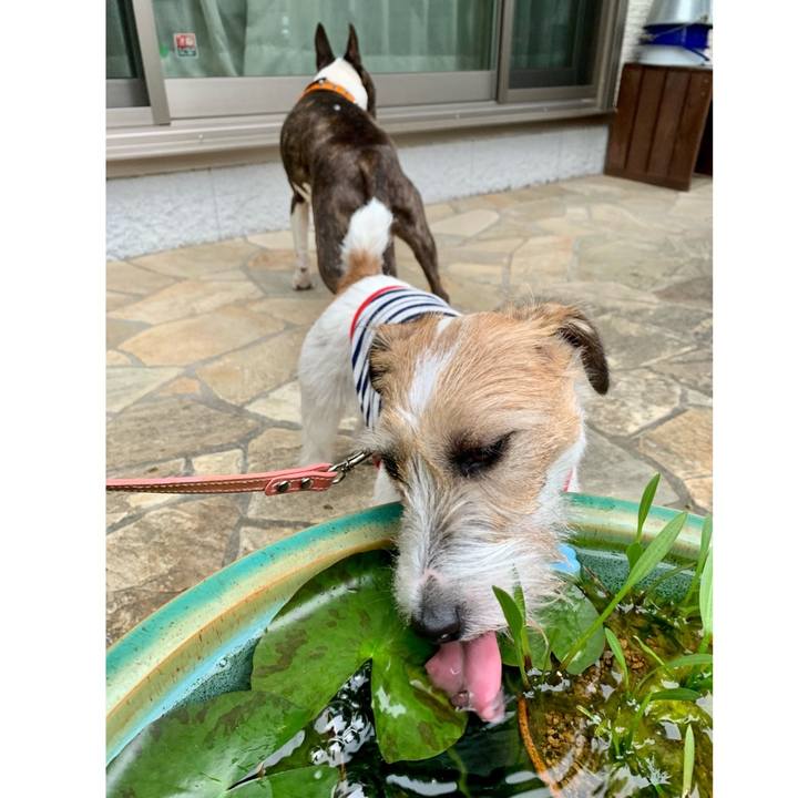 C9b04c4c be4d 4bb8 a508 e3a565a641a2 1621858420943