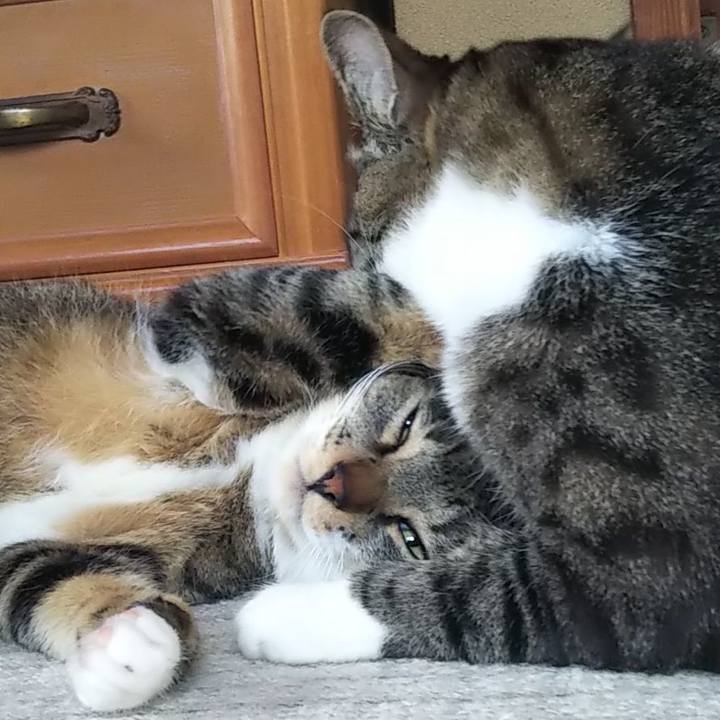 C9b0663b c583 4546 aabb 36f6fddc942c 1602153971216