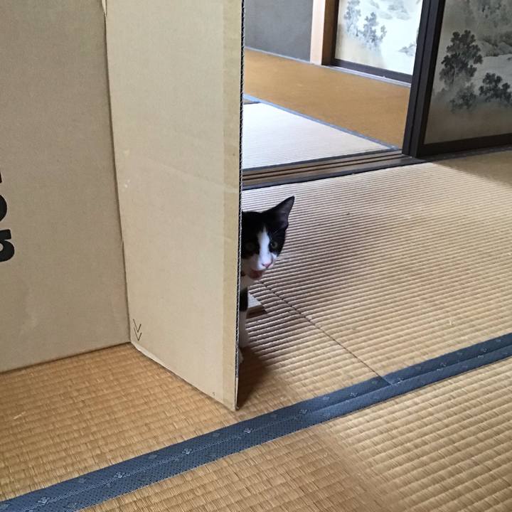 C9b0664b 70b1 4ab2 96c1 6d6f87daa5bb 1627364446236