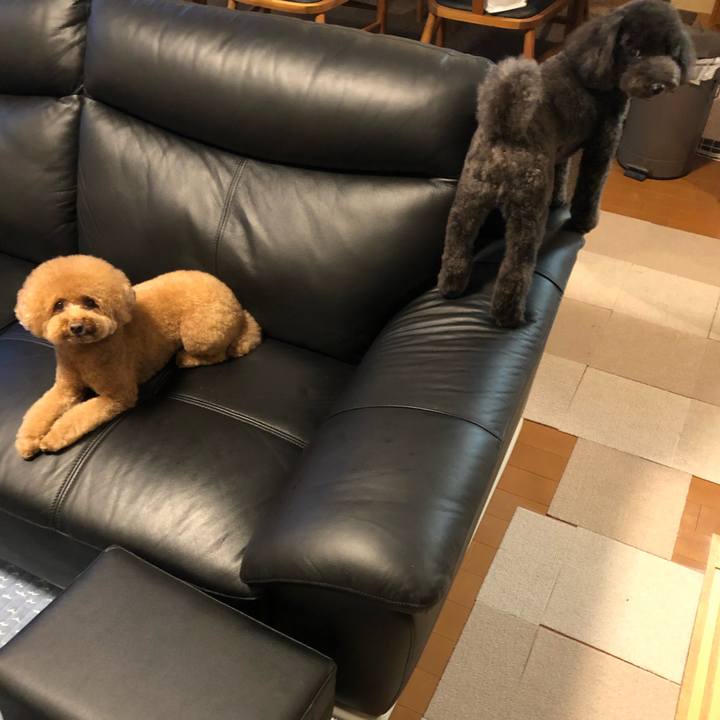 C9b08b72 1acc 4609 b325 d393ec25a5cf 1599817605943