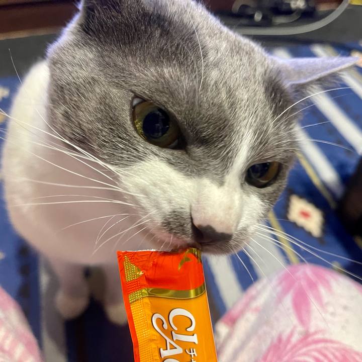 C9b0d9f6 6ded 4d5d 9c2d f6bcba116b04 1650794372674