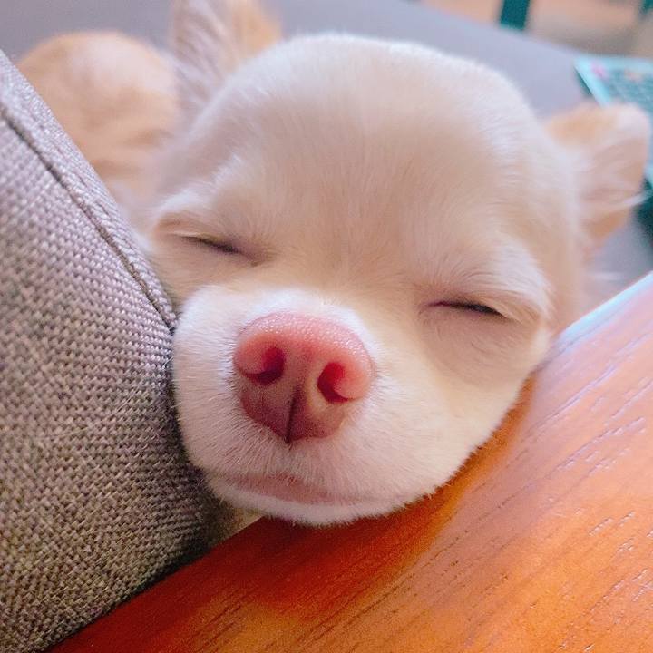 C9b0df02 47f0 4477 8fd7 e584917e0e2e 1633326384082