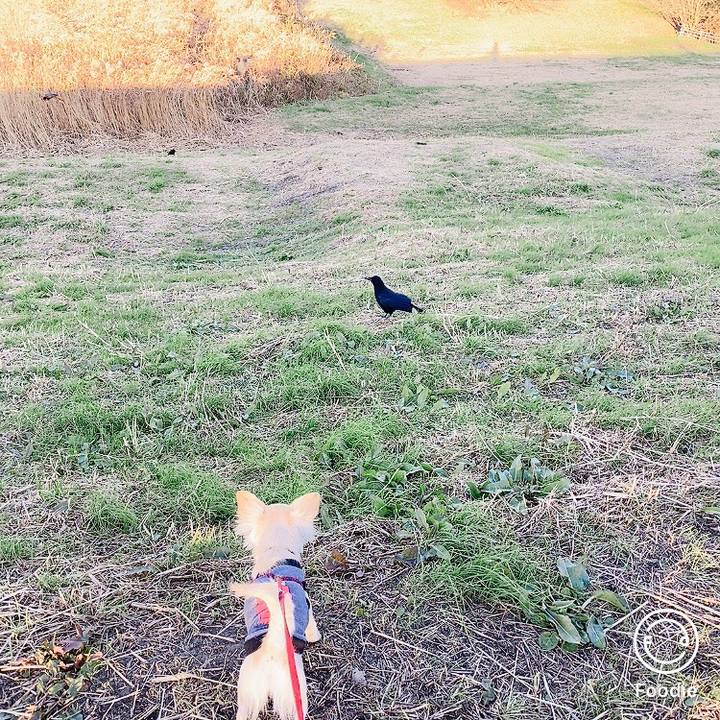 C9b0df6a 05b4 4050 8c11 9cf1d68e39f2 1607081284427