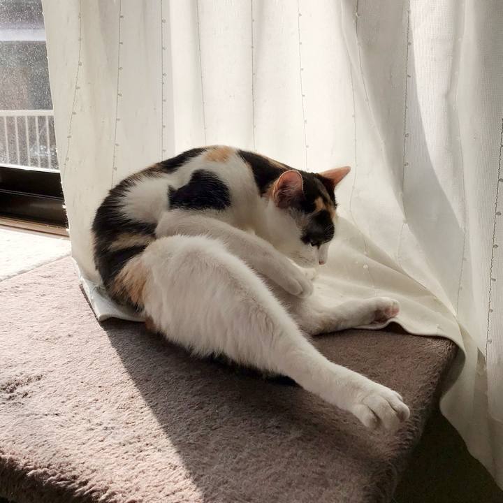 C9b11b97 cc30 4bb0 9380 48e3ce1f2b48 1538276256365