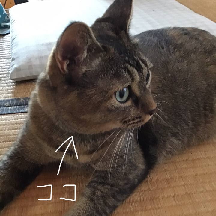 C9b1243b 935b 40bf ba3a 7e357538832d 1756606671841