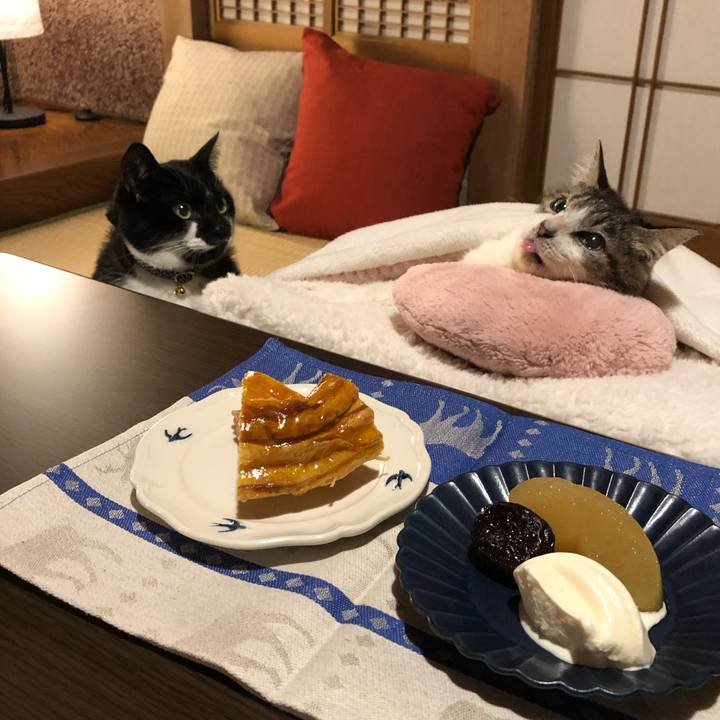 C9b1371a 0666 4fb9 9ee4 8646bbba260e 1547387436239