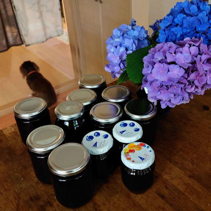 C9b14ac9 3827 4b76 8210 c3d5da31f066 1687414186975