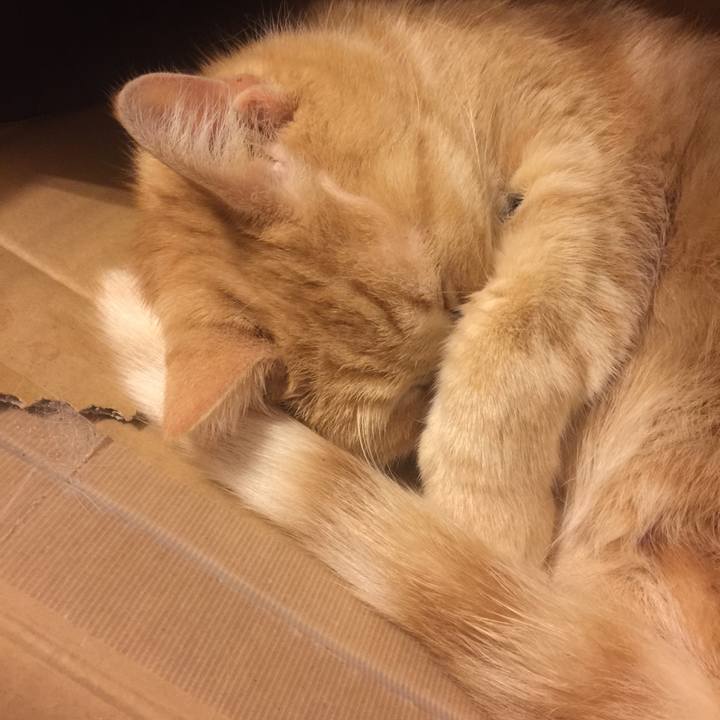 C9b15e97 3684 42fd a5f2 3bc1ba5e02be 1547904188063