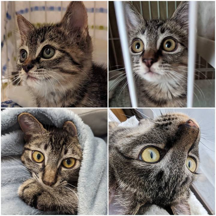 C9b17d7b 1bc3 4921 a7a9 5b2d0dd5feca 1715324152363