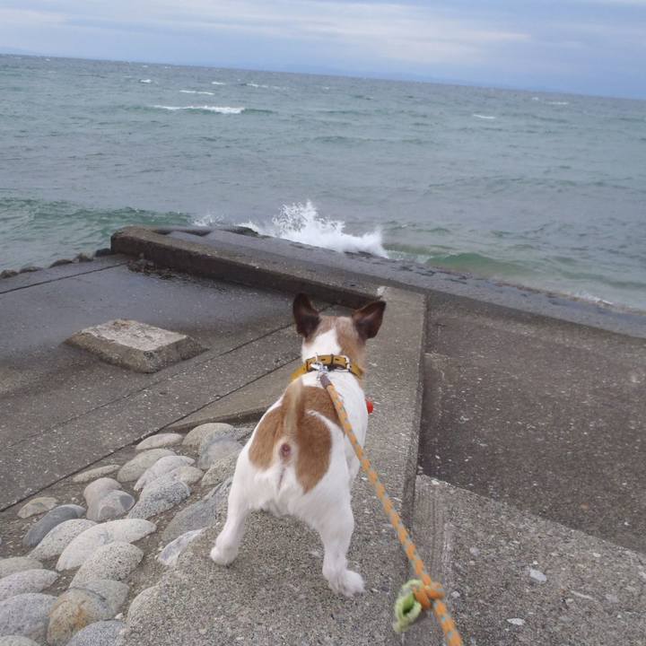 C9b18755 457f 47a2 a50b dbbde7ebc5bb 1513348221852