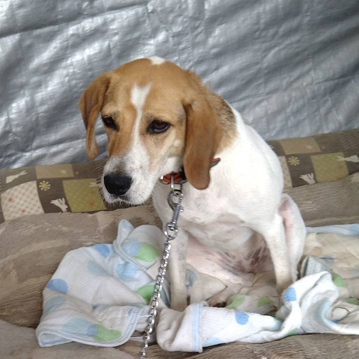 C9b19c98 d689 4e46 af17 32b0ef9e99aa 1627363905344