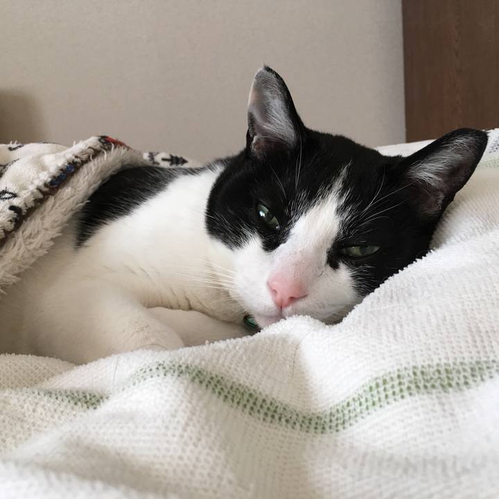 C9b1b042 1dd8 4775 8179 acb5b989fb6f 1529238367905