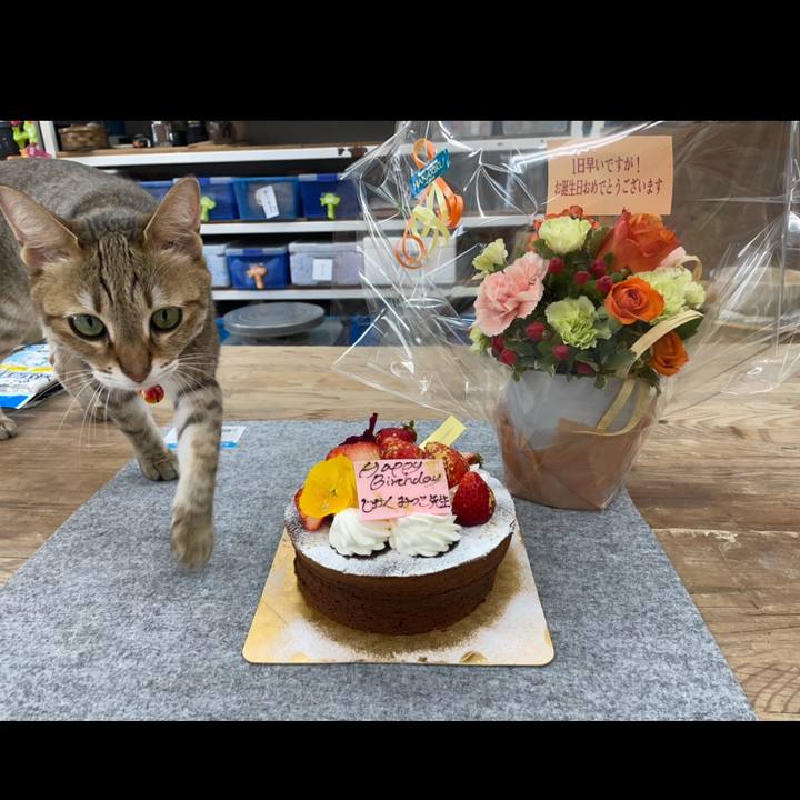 C9b1b4fa 9fb0 4438 b95b dd56e140bcb3 1678614810001