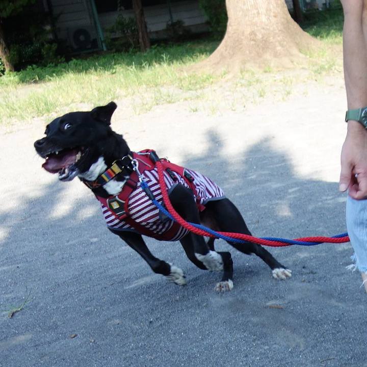 C9b1e598 d214 446b b916 c5fab698164b 1598400866070