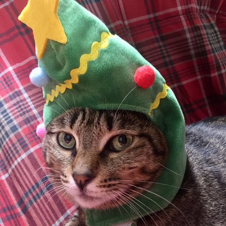 C9b226e6 0a7f 4728 8a2f ddd2b04ec3b8 1577192870945