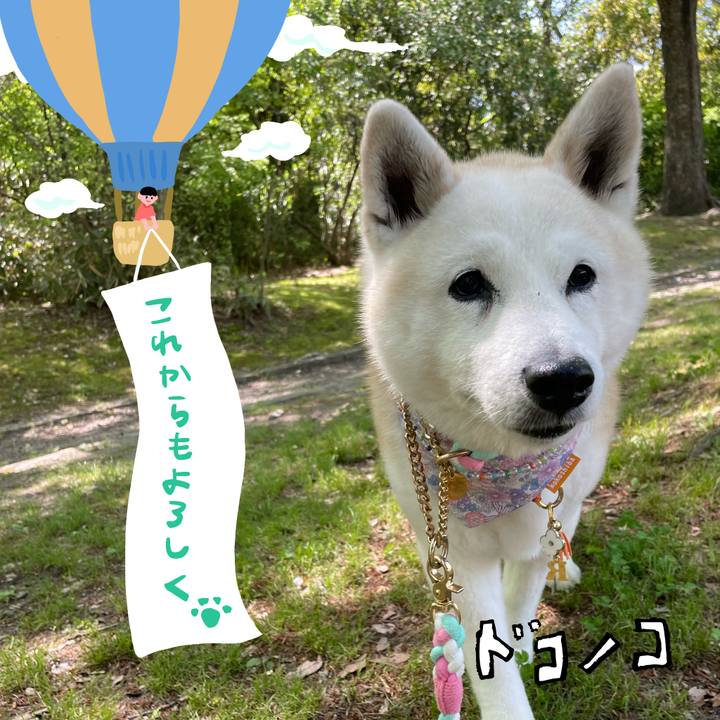 C9b26923 94d9 4c6a b209 8ae3c9607e4e 1686014173076