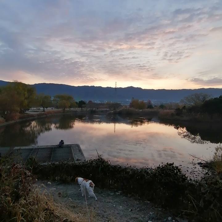 C9b271ca 3a3d 432f 8481 37fdec87f33f 1609026793780