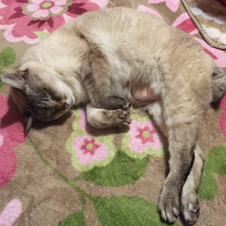 C9b291c7 8282 445e 9394 1f2a3130b0de 1518703447394