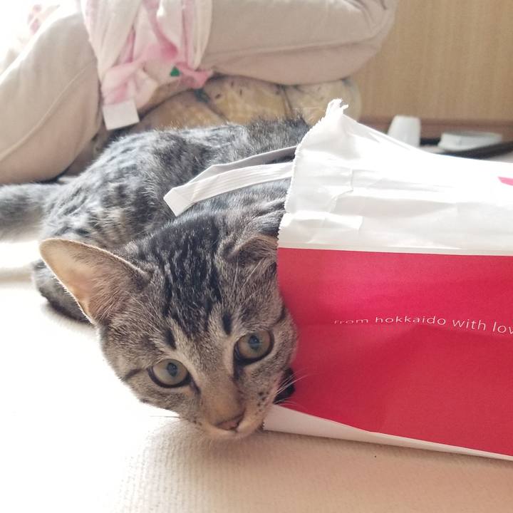 C9b2a5d1 0162 45a5 83ce 5191e50bd961 1670028104802