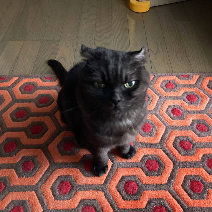 C9b2f3d0 e6d4 4f8d b1e3 0c5a7665151d 1604621067821