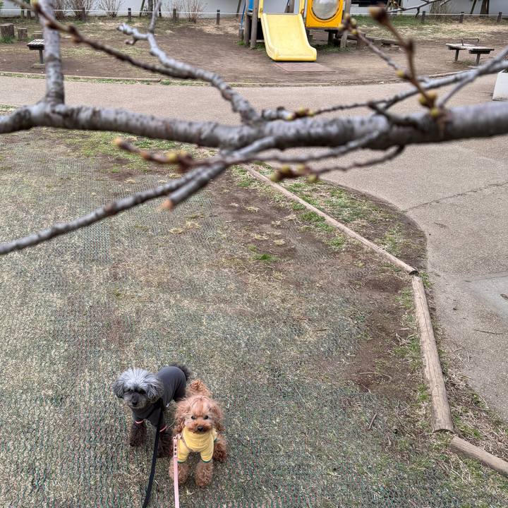 C9b2fc97 ecb5 441b 8fd6 a864d305797d 1773357127213