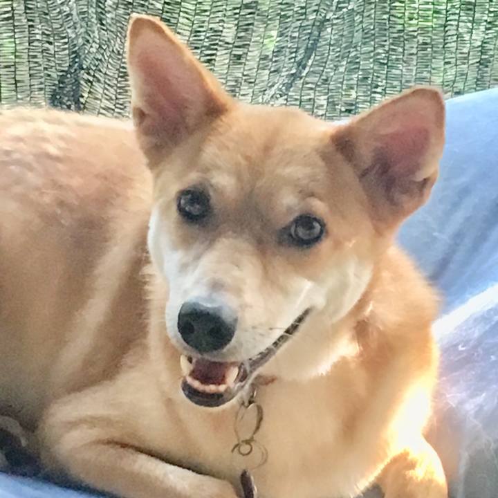 C9b31548 c414 4f18 87cf cb41e47774fe 1566023050239