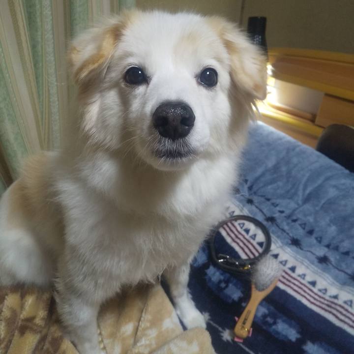 C9b32046 b00e 40b1 b24a 2554db01d51c 1639266709569